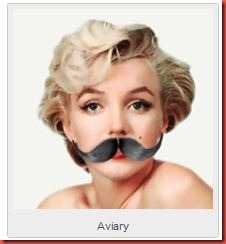 Aviary Aviary