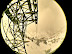 Tram Tower.