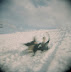 Nicole and Alana sledding on trays.