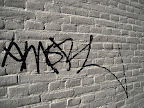 NewNowNet_234.JPG