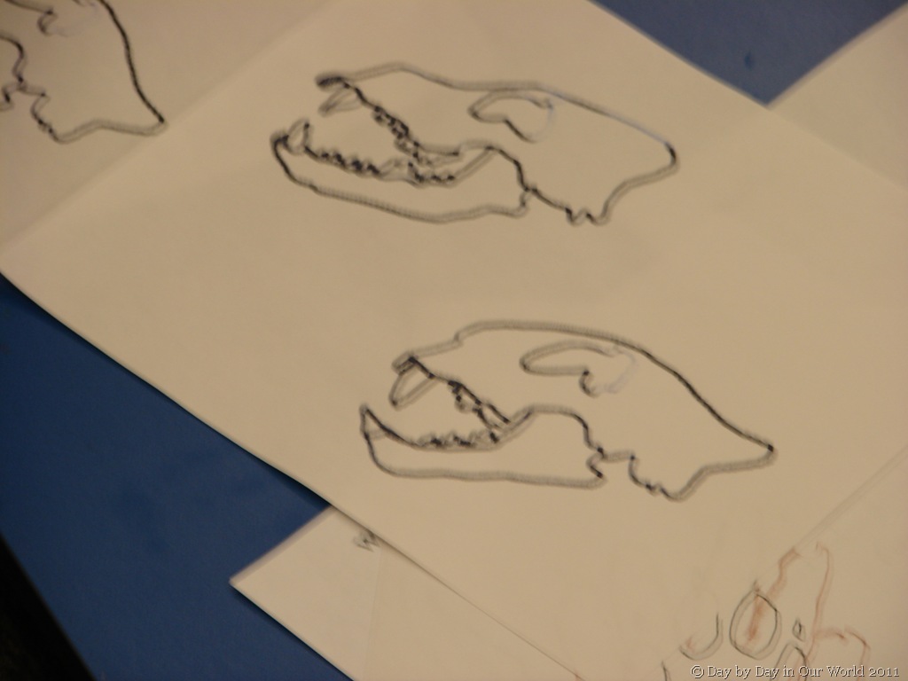 [DSC03522[9].jpg]