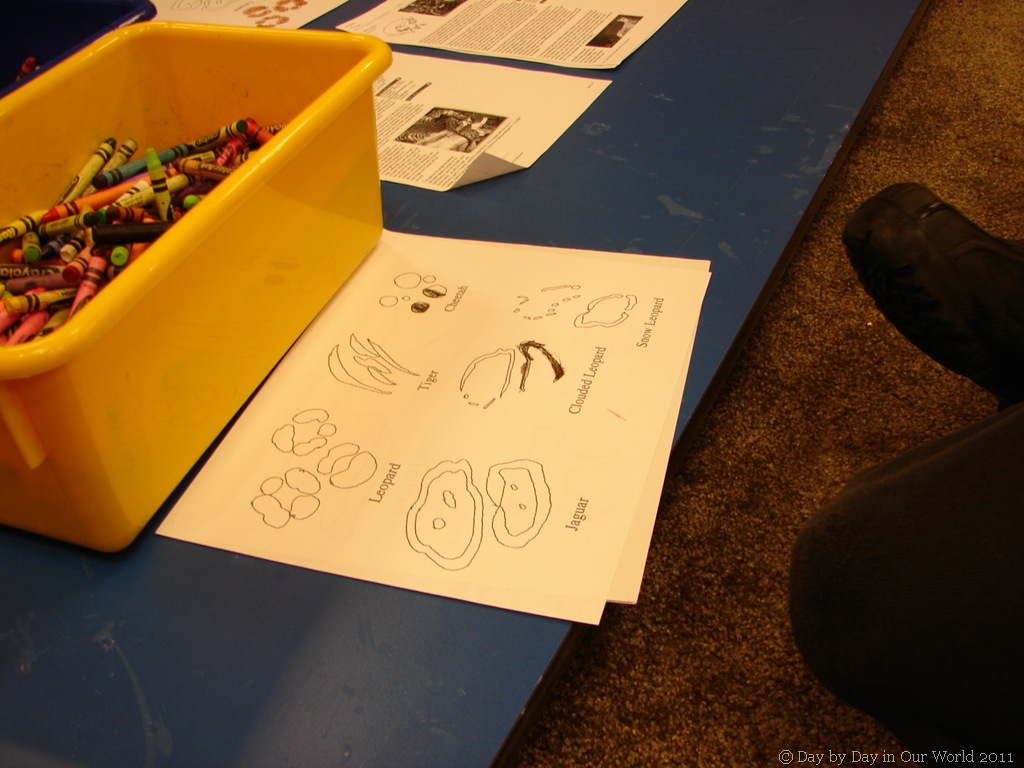 [DSC03670[9].jpg]