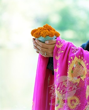 [hindu-bride-image hand[3].jpg]