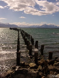 puertonatales (11) puertonatales (11)