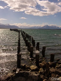 puertonatales (11)