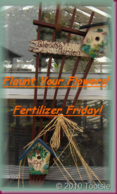 Fertilizer Friday