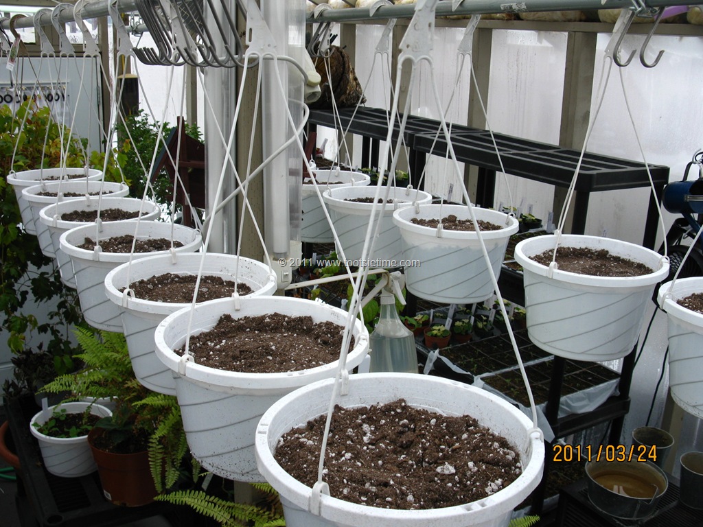 [063[6].jpg]