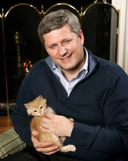 Stephen harper