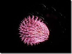 fireworks 031