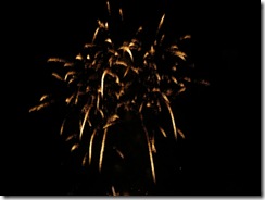 fireworks 035