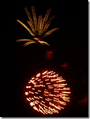 fireworks 046