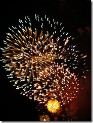 fireworks 089
