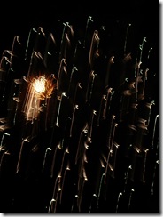 fireworks 097