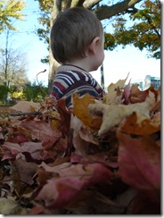 caelun in the leaves 093