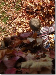 caelun in the leaves 011