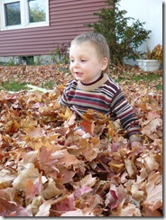 caelun in the leaves 049