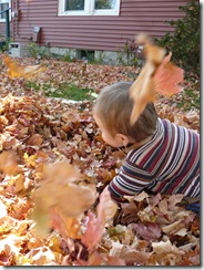 caelun in the leaves 052