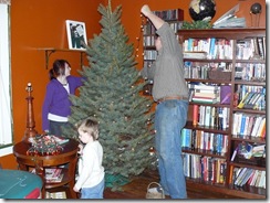 putting up the tree 010