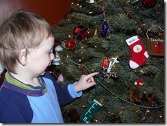 putting up the tree 049
