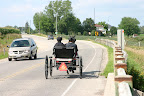 Horse and buggy near Conestogo