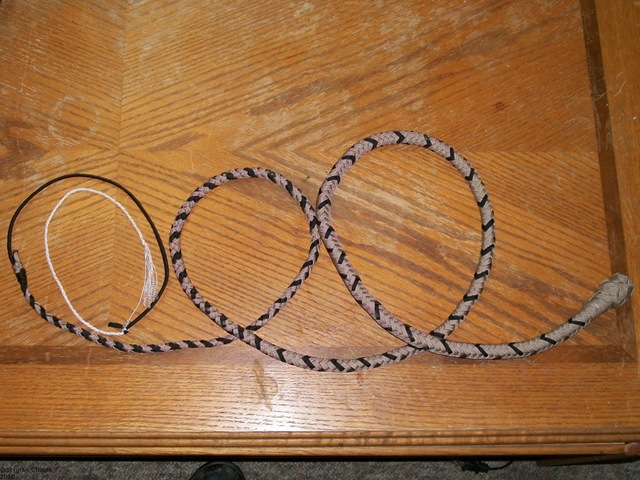[SnakeWhip 03[2].jpg]
