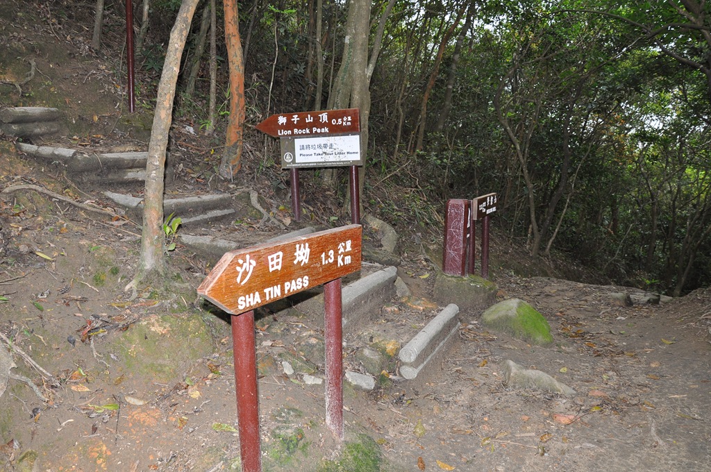 [DSC_0094[3].jpg]