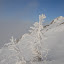 D20_0051.jpg