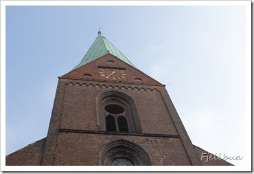 IMG_5449