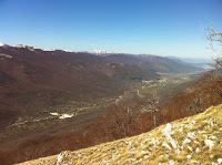 IMG_1080.JPG Photo
