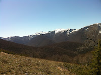 IMG_1078.JPG Photo