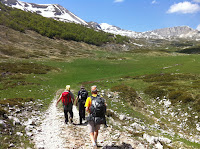 IMG_1274.JPG Photo