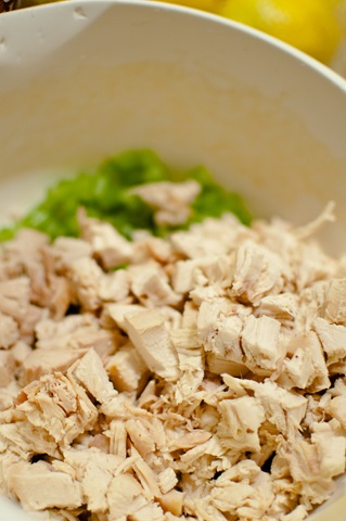 [hotchickensalad3[5].jpg]