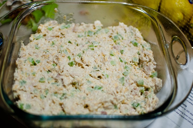 [hotchickensalad5[4].jpg]