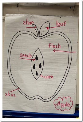 applelabel1 applelabel1