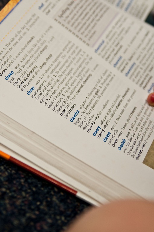 [dictionary1[6].jpg]