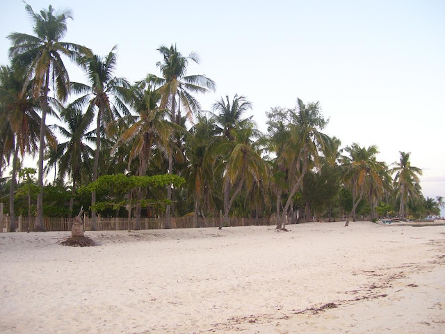 Cebu Malapascua