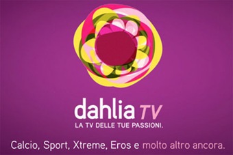 chiude-dahlia-tv