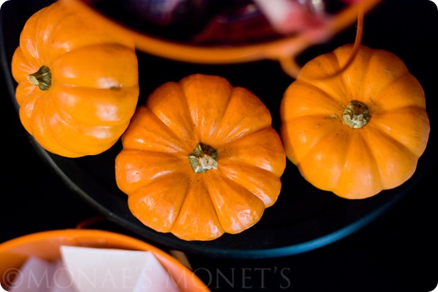 pumpkins blog