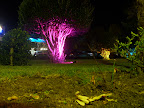 iexx photos: 5236258857499529922