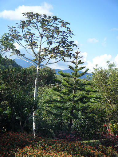 http://lh3.ggpht.com/_WVpPmKn7rns/SwQlgHWCHJI/AAAAAAAADIE/UucuraZjWjc/s512/DSCF0637.JPG