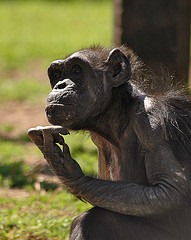 [thinking[3].jpg]
