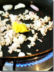 Seanon,fry onion,GG paste