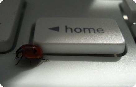 home internet safety