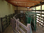 The bovine handling facility allows us to restrain cattle for examination and surgeries.