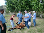 Field surgery