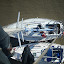 test picasa