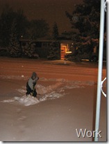 K shovels2