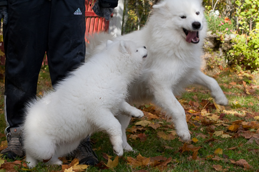 20091010-IMG_1663.jpg