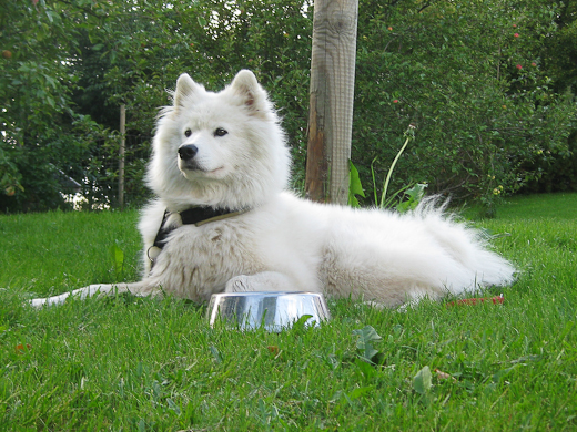 20090830-IMG_0566.jpg