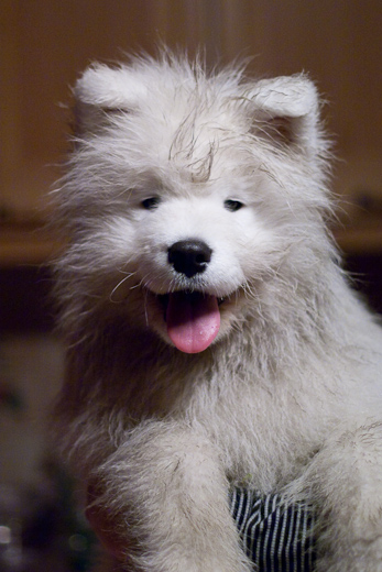 20091027-IMG_2186.jpg